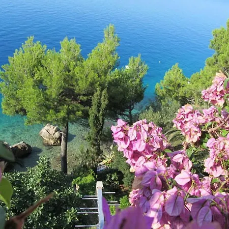 Beach Oasis Stanici *