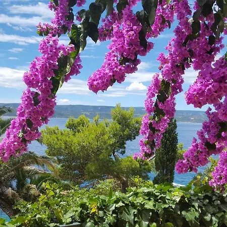 Beach Oasis Stanici Διαμέρισμα